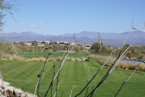 Arizona Sun Ridge Canyon