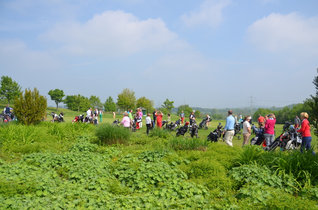 Hochbetrieb auf der Wiese beim Wiesenhof-Turnier