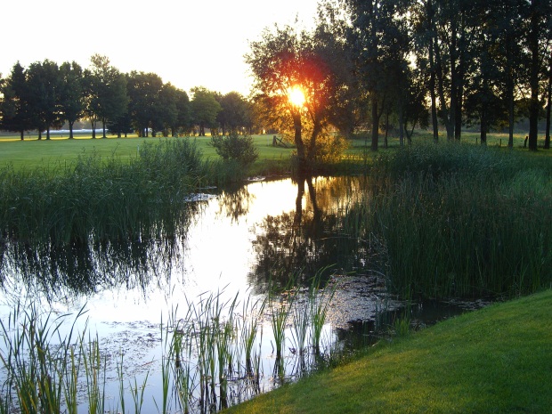 Blick über die Golfanlage in Issum Blick über die Golfanlage in Issum