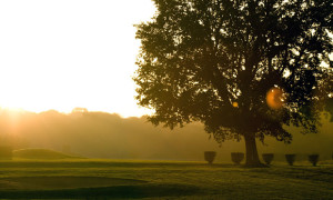 Fairway am Herbstabend
