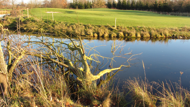 mönchengladbachwanlo-titelbild1.Loch 12