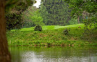 Wasser und Tierspuren beim Golf